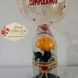 Rosas preservadas Personalizadas