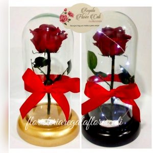 Rosas Inmortalizadas archivos - Regala Flores Cali
