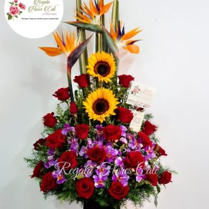 Ramos De Flores Cali