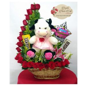 Ramo de Flores Con Peluches