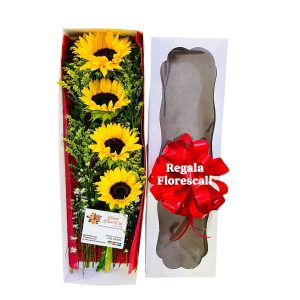 Caja con Girasoles Eco